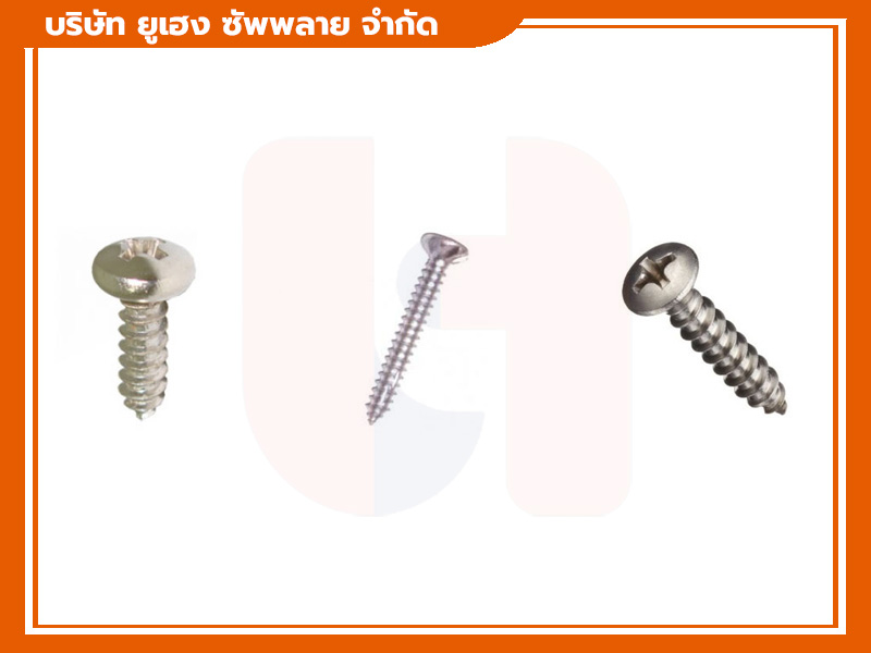 สกรูเกลียวเหล็ก